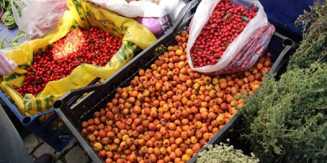 Dikenine katlanan meyvesini yiyor! Elleriyle tek tek toplayıp satıyorlar: Pazarda kilosu 100 TL’den alıcı buluyor 1